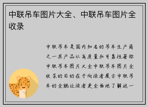 中联吊车图片大全、中联吊车图片全收录